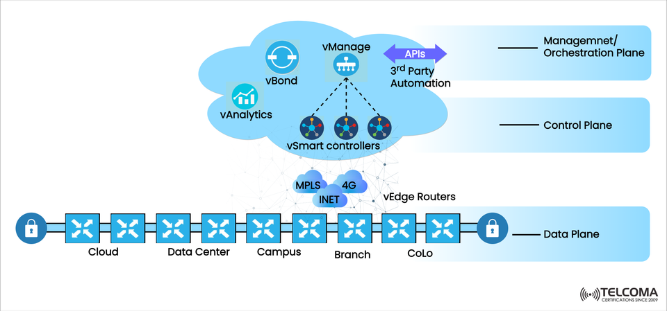 Understanding Cisco SD-WAN Architecture: Management, Control, and Data Planes Explained