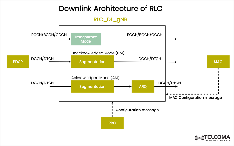 Downlink Architecture of RLC in 5G | Transparent Mode, UM, and AM Explained
